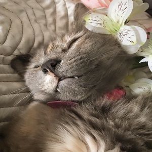 Meet your Posher, Jenny hannah